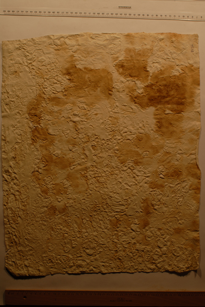 squeeze: Site: Giza; view: G 8154