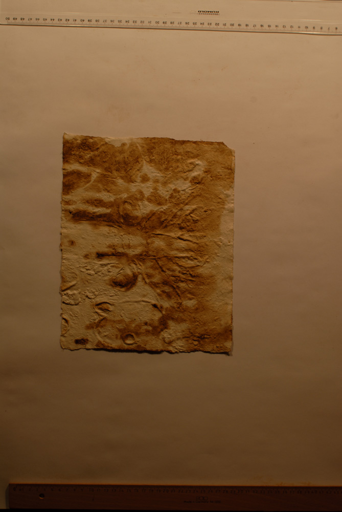 squeeze: Site: Giza; view: G 8154