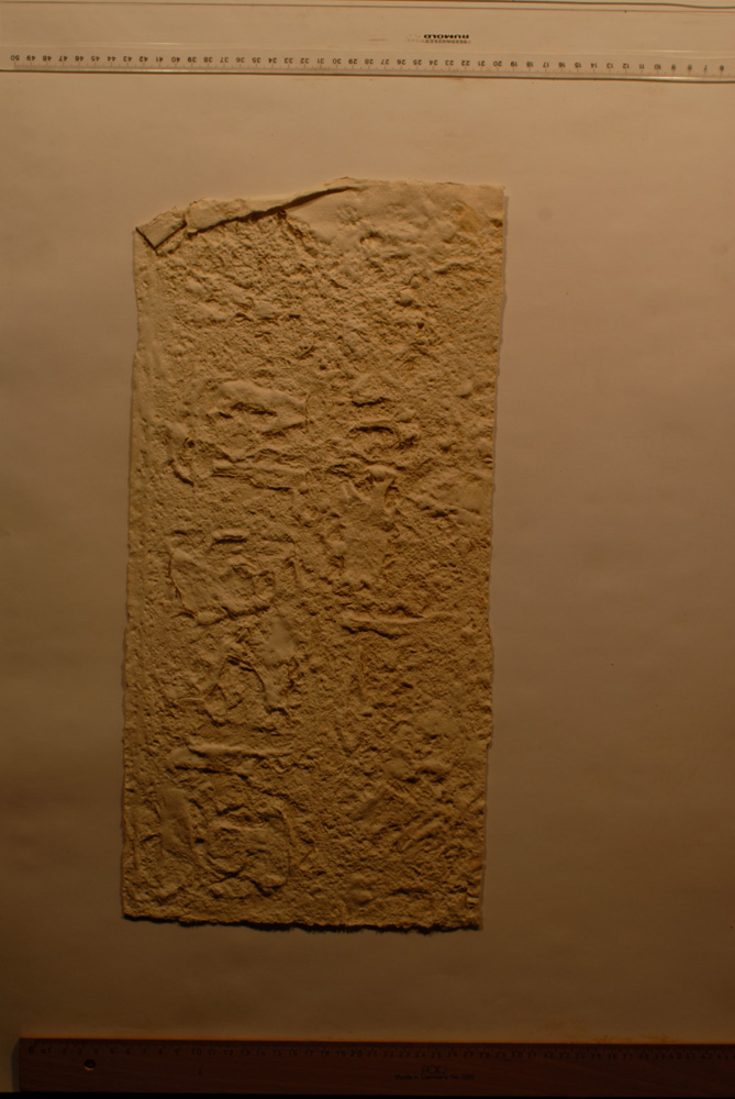 squeeze: Site: Giza; view: LG 10, G 2370