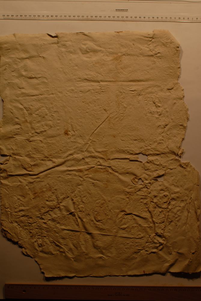 squeeze: Site: Giza; view: LG 12