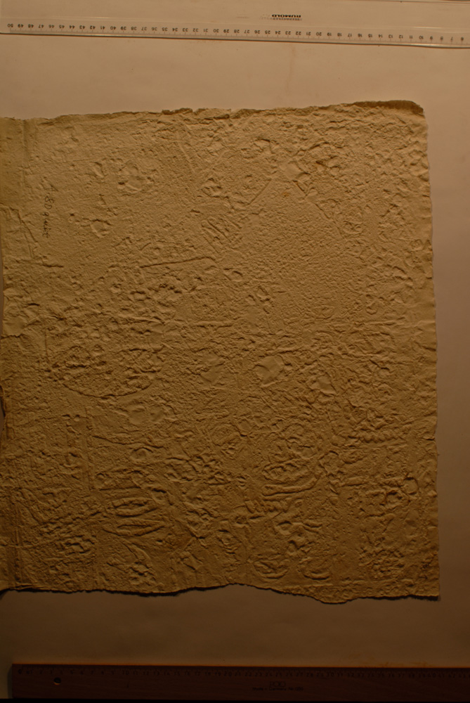 squeeze: Site: Giza; view: LG 69