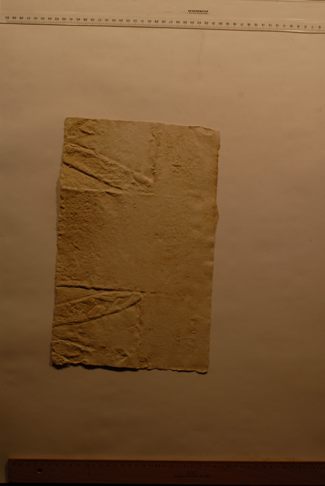 squeeze: Site: Giza
