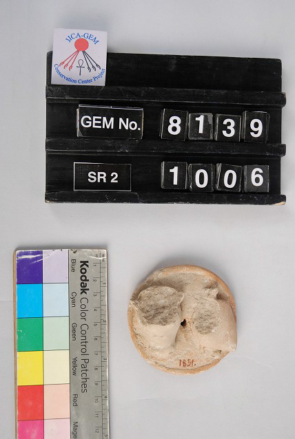 Object(s) photograph: Site: Giza; View: G 8988