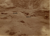 Western Cemetery: Site: Giza; View: G 2017