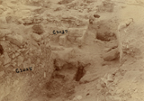 Western Cemetery: Site: Giza; View: G 2037, G 2025
