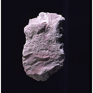 Object(s) photograph: Site: Giza; view: G 4561